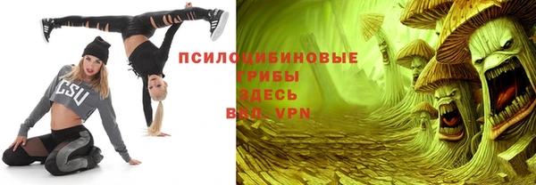 винт Алзамай