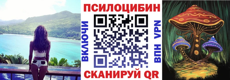Галлюциногенные грибы Psilocybe  mega вход  Нытва 